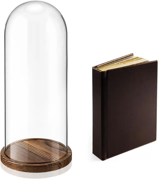 16" Tall Glass Display Dome with Dark Wood Base — Clear Cloche