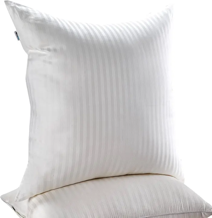 Euro-Size 26x26 Inch Square Pillow Inserts — Pack of 2